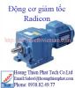 dong-co-giam-toc-radicon - ảnh nhỏ  1